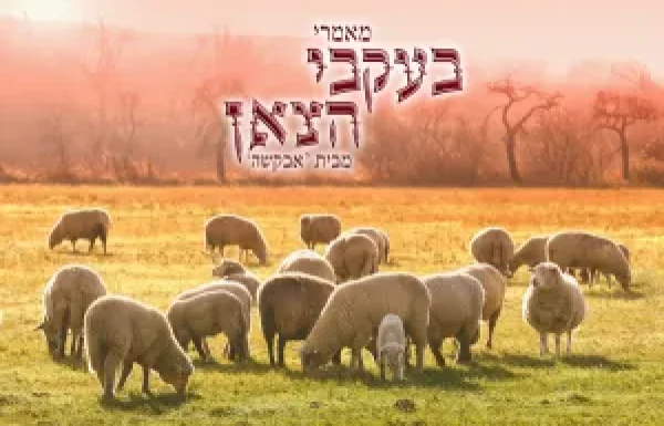 ספר 'בעקבי הצאן' יסודות חסידות ברסלב – פרק ב' מיהו "צדיק הדור" עליו מדובר בספרי ברסלב?